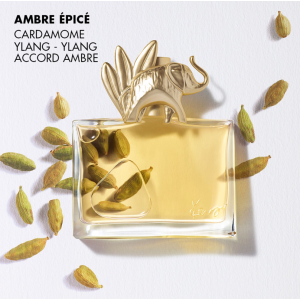 JUNGLE - Eau de Parfum JUNGLE - Eau de Parfum